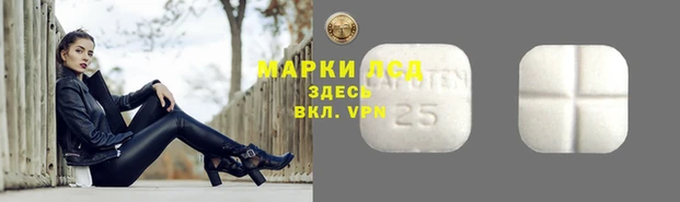 прущие грибы Белоозёрский