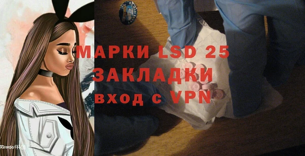 прущие грибы Белоозёрский