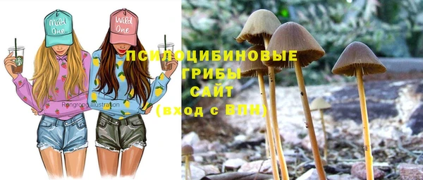 марки nbome Белокуриха