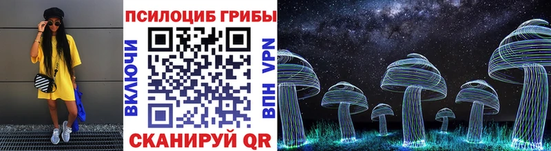 Купить где  Гурьевск  Галлюциногенные грибы мухоморы 